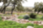 On-property water feature