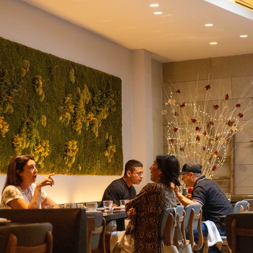 Guests dining inside Tomiño Taberna Gallega Spanish restaurant NYC with elegant Galician-inspired decor