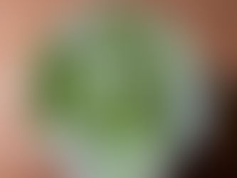 Matcha drinks at Ostro Café in Astoria including iced matcha, strawberry matcha, mango matcha, and behind-the-scenes preparation, showcasing one of the best matcha spots in Queens.