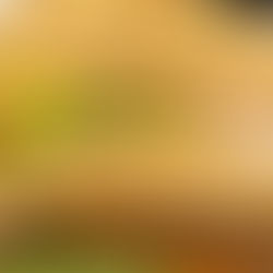 Brunch Astoria Queens: Discover Ostro Café on Steinway