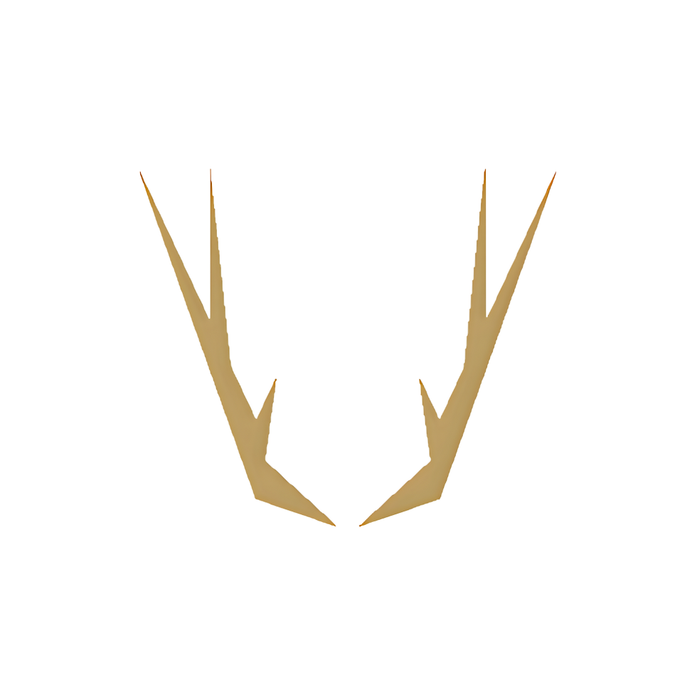 Rich Energy Systems Small Logo White Background