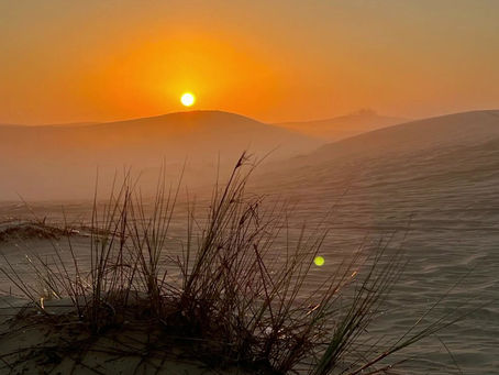 OasenZeit 09.04.2023