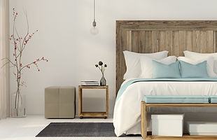Ines Shans your personal assistant for staging, decluttering and downsizing