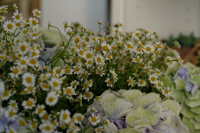 DSCF6804.JPG