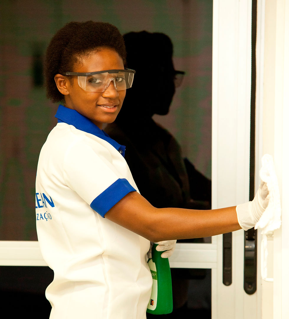 Sulclean Higienização