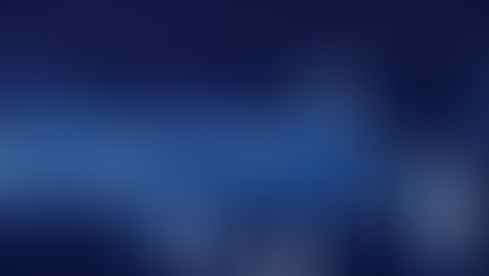 NOVEMBER ECONOMIC UPDATE