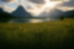 mountain_flower_bg.jpg