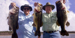 Largemouth Bass Fishing