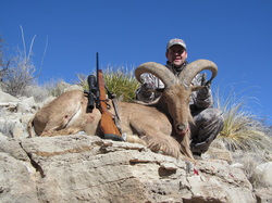 Barbary Sheep Hunting at Arrowhead Outfitters