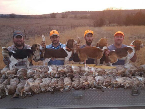Rabbit Hunting at Hunt Hickory Creek in Kansas