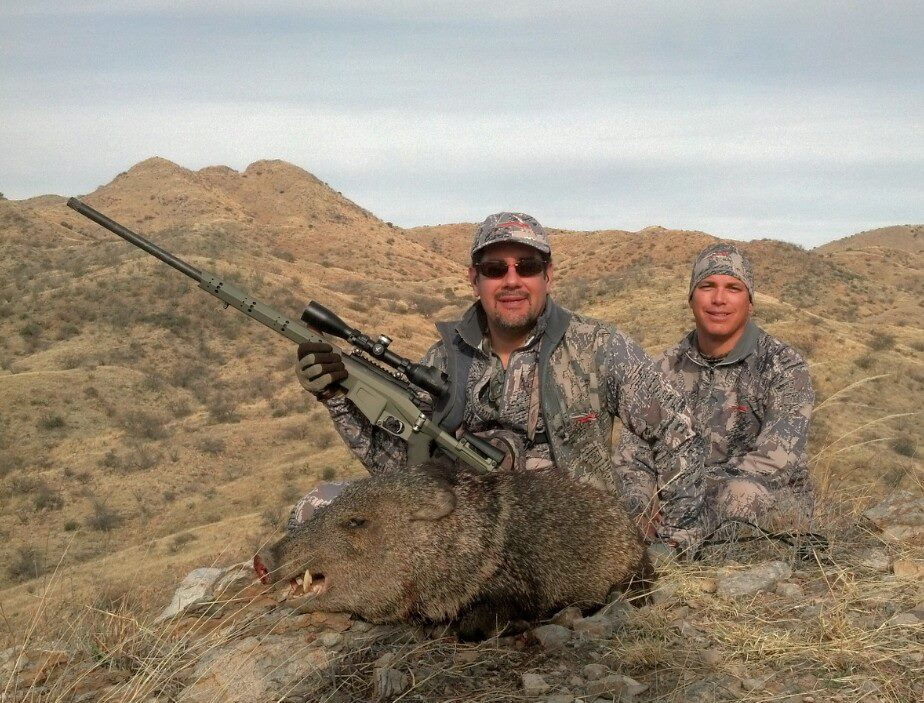 Javelina Hunting at Hunting Javelina Arizona