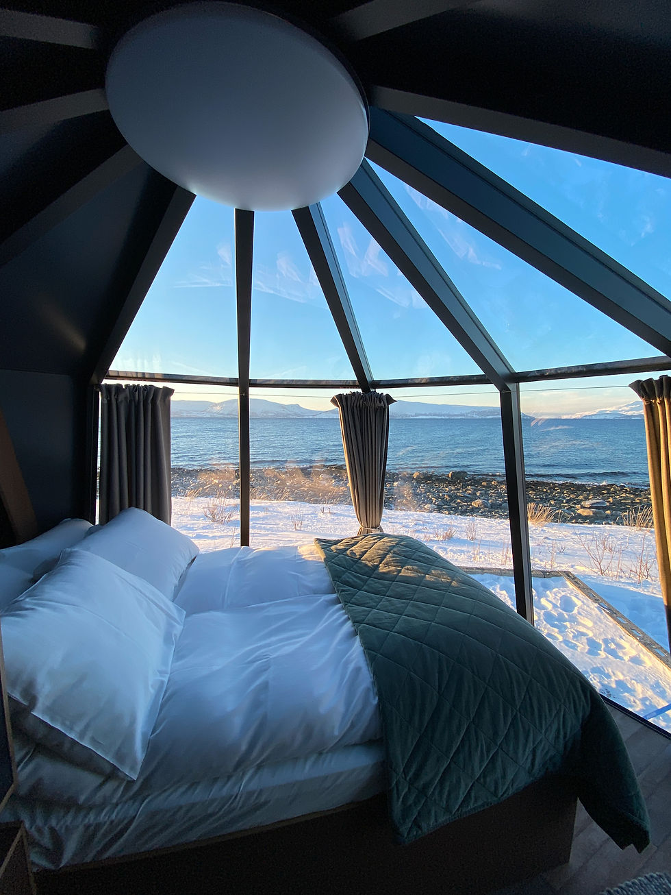 Aurora Hut view from inside