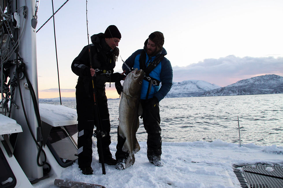 Fjord fishing in tromso.jpeg