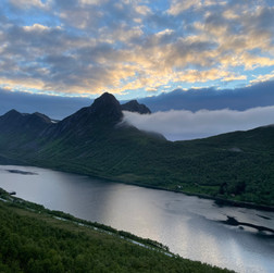 Senja Fjordcruise.jpeg