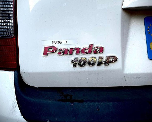 Fiat Panda 100 HP