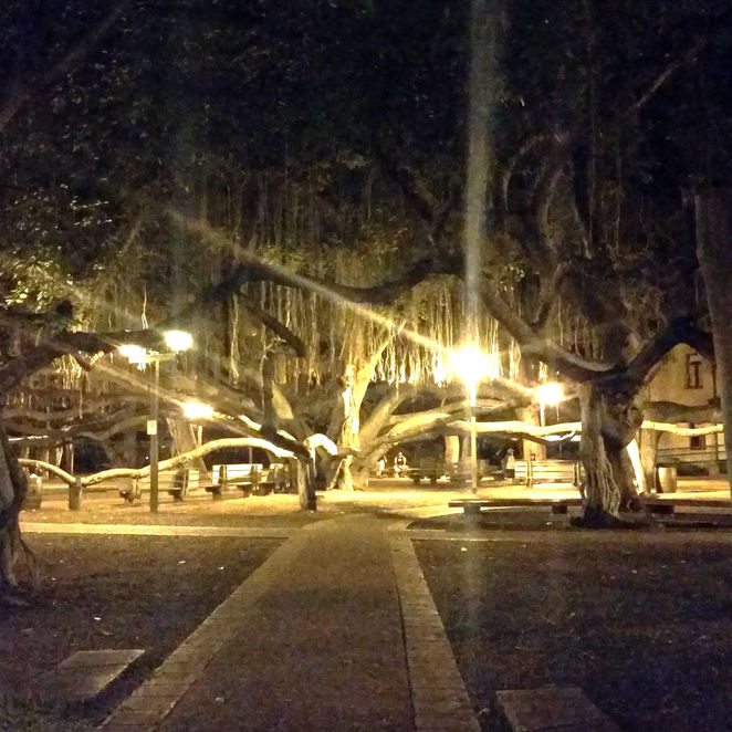 Thumbnail: Lahaina Banyan Tree