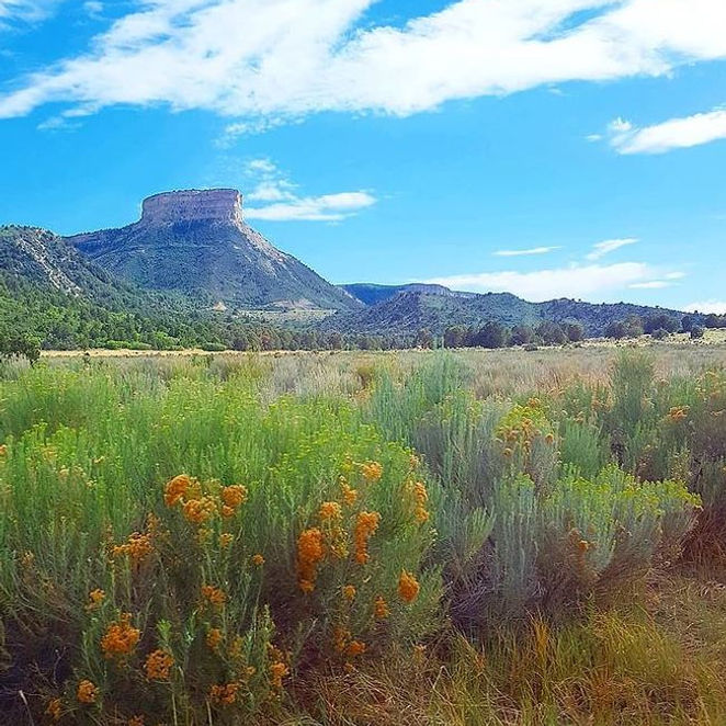 Thumbnail: Mesa Verde
