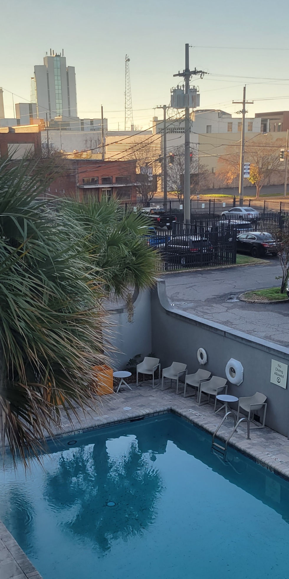 Thumbnail: Morning Swim