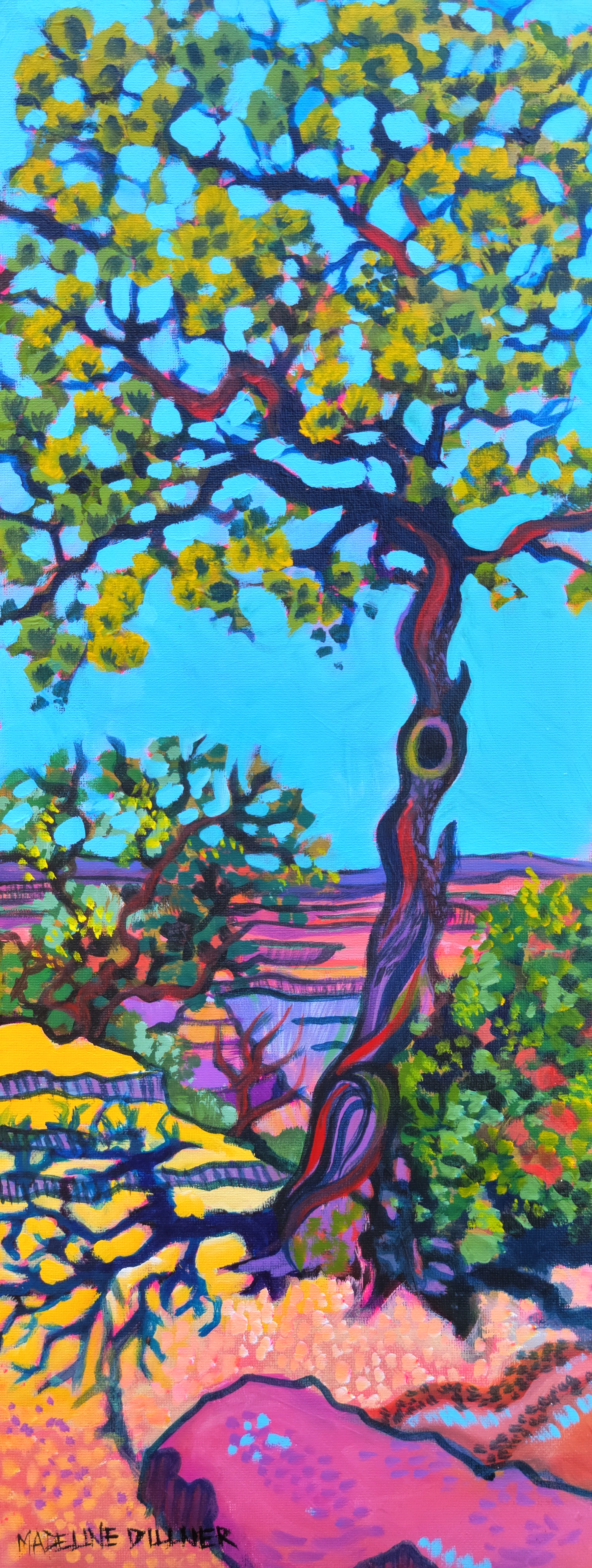 South Rim Juniper