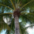 Thumbnail: Look Up