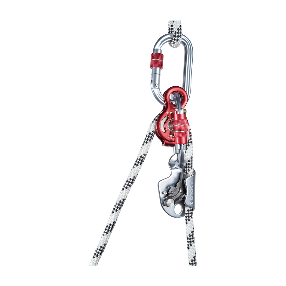 Küçük resim: CAMP 2153 SPHINX PRO TEKLİ RULMANLI MAKARA