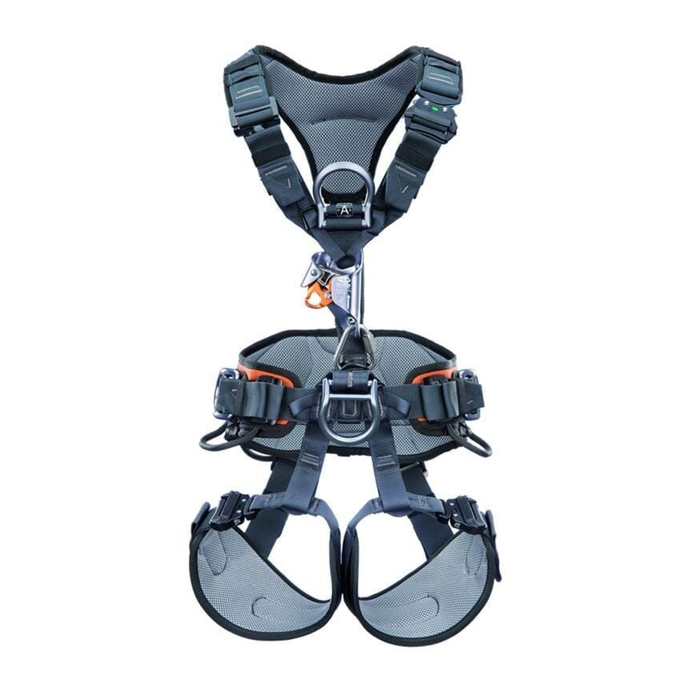 CT GRYPHON HARNESS SIZE