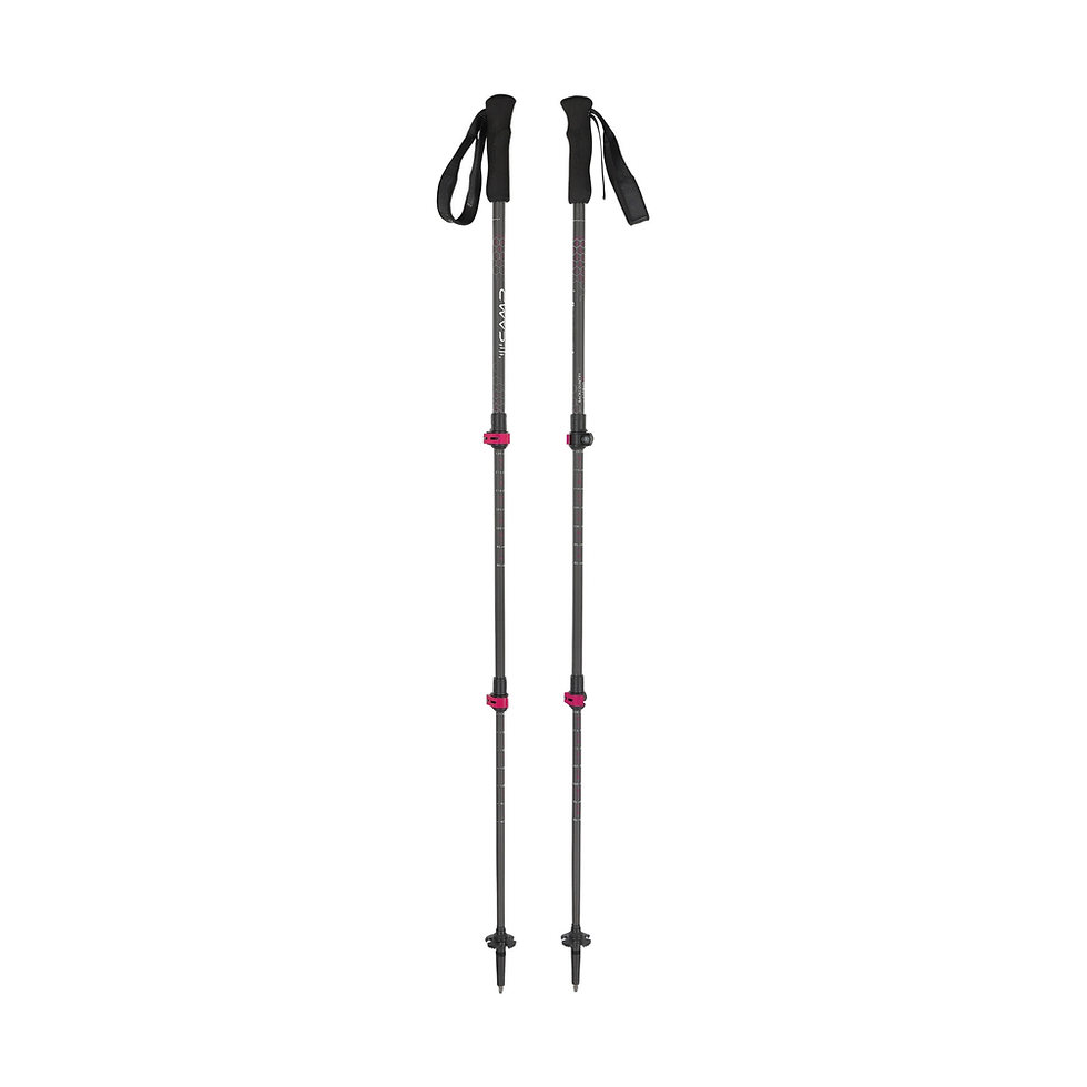 Küçük resim: CAMP 3219 BACKCOUNTRY CARBON W KADIN KARBON BATON