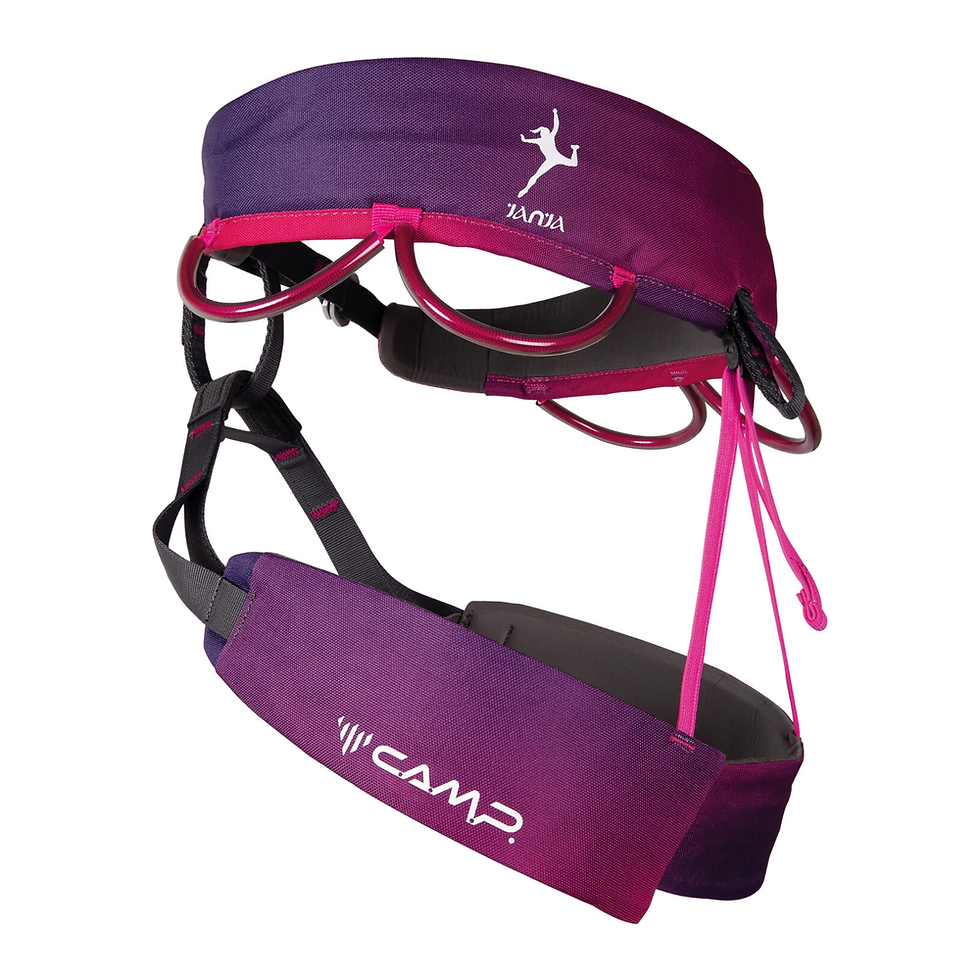 Thumbnail: CAMP 2869J ENERGY JANJA SPECIAL EDITION ROCK CLIMBING HARNESS