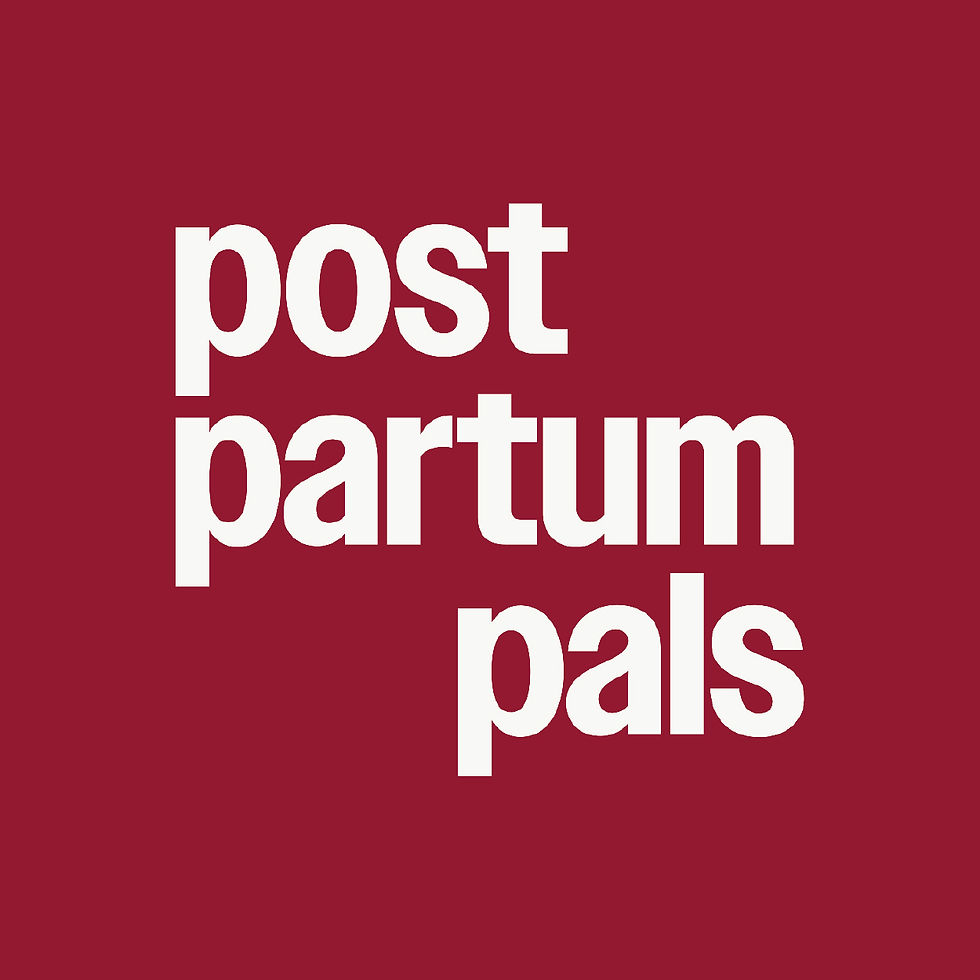 Brands We Have Worked With - Postpartum Pals.jpg