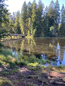 IMG_6083.jpeg