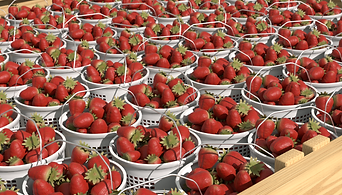 strawberry.png