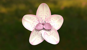 orchid.jpg