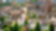 Nong Nooch Garden 2.jpg