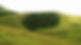 Grass Hills – vast rolling grasslands and shola forests in Anaimalai Hills, Western Ghats, Tamil Nadu