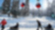 The Gulmarg Gondola, one of the world's highest cable cars, ascends snowy Himalayan peaks with panoramic views of pine forests and Kashmir's stunning valleys.