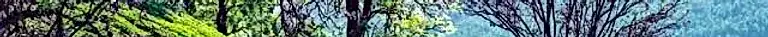 s2.webp