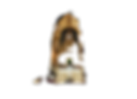 g1_edited.png
