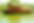 h1.webp