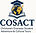 COSACT for add sense_edited.jpg