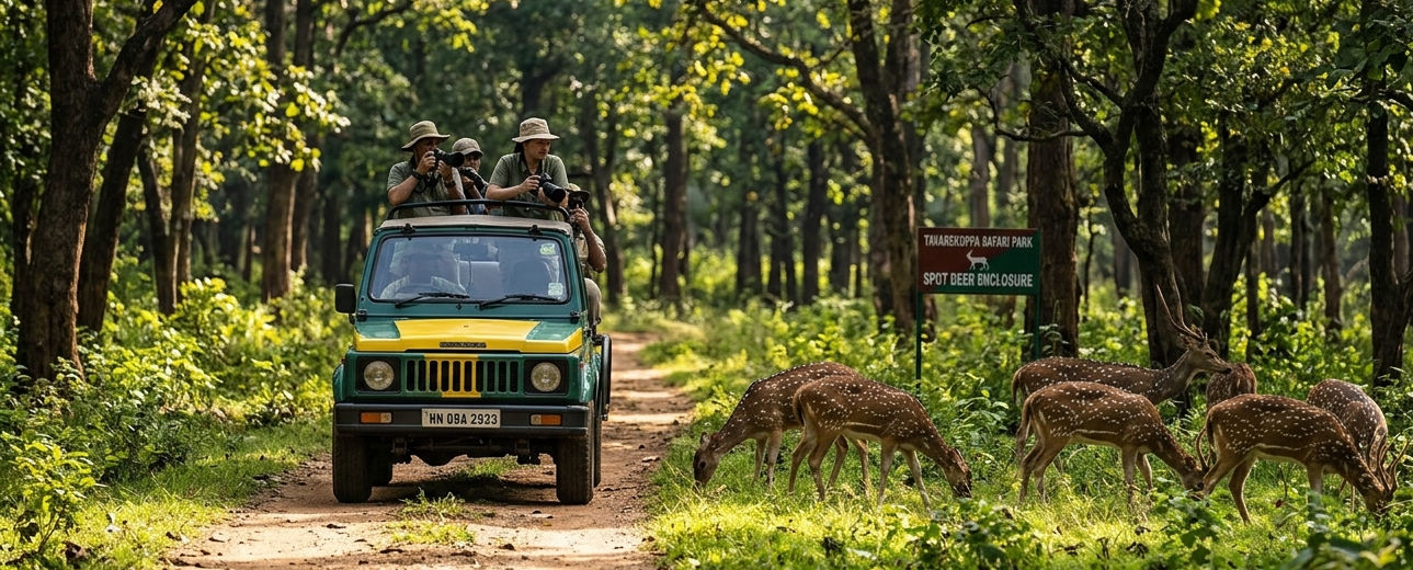 Safari jeep and deer at Tavarekoppa Safari Park Shivamogga