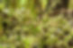 Vandanmedu – largest cardamom auction center in Asia surrounded by spice plantations, Idukki, Kerala