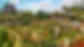 Nong Nooch Garden.webp