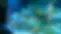 u1.webp