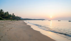 Tannirbhavi Beach – Peaceful Coastal Escape(Calm and clean Tannirbhavi Beach with palm trees in Mang