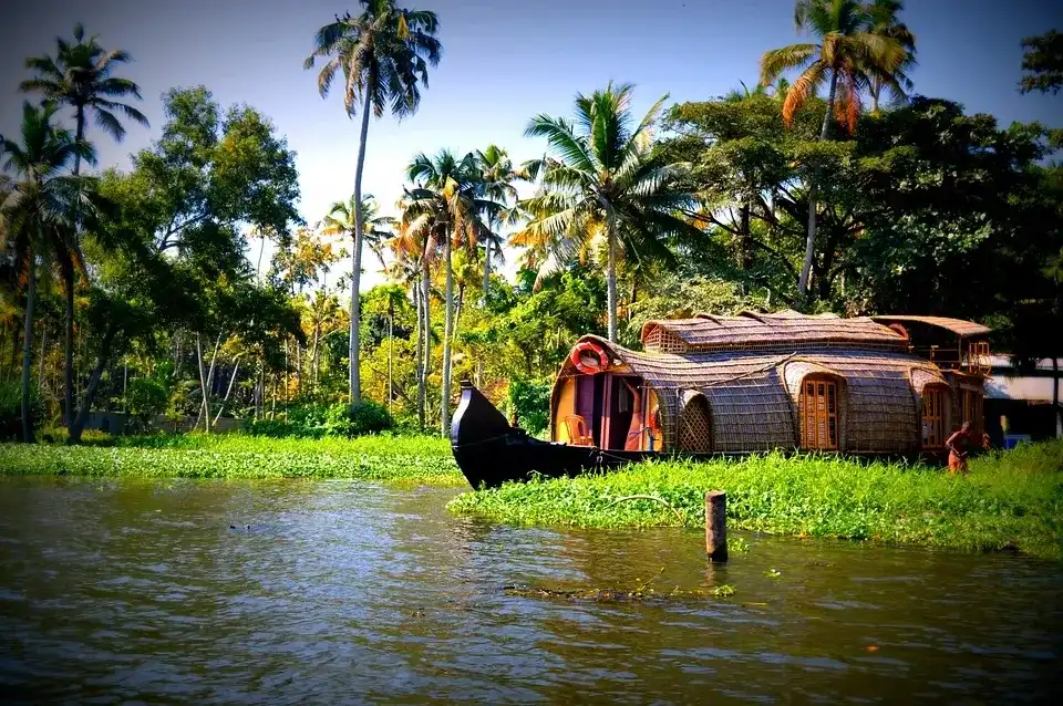 Alleppey House Boating, Kuttanadu, and Kumarakom: A serene and enchanting view of a traditional Kerala houseboat (kettuvallam) gliding through the tranquil backwaters of Alleppey, surrounded by lush paddy fields of Kuttanadu and the scenic beauty of Kumarakom. The image captures coconut palms lining the banks, mirrored perfectly in the still waters, with villagers engaging in daily life along the shores. The houseboat, with its thatched roof and wooden structure, floats peacefully, offering a unique experience of Kerala’s rural charm. In Kuttanadu, known as the ‘Rice Bowl of Kerala,’ the vibrant green fields lie below sea level, showcasing traditional farming techniques. In the distance, Kumarakom’s famed bird sanctuary attracts migratory birds flying over the Vembanad Lake. The sky is painted with warm hues of sunset, enhancing the idyllic beauty of the backwaters. This image represents the soul of Kerala’s backwater tourism—relaxation, culture, nature, and harmony in motion.