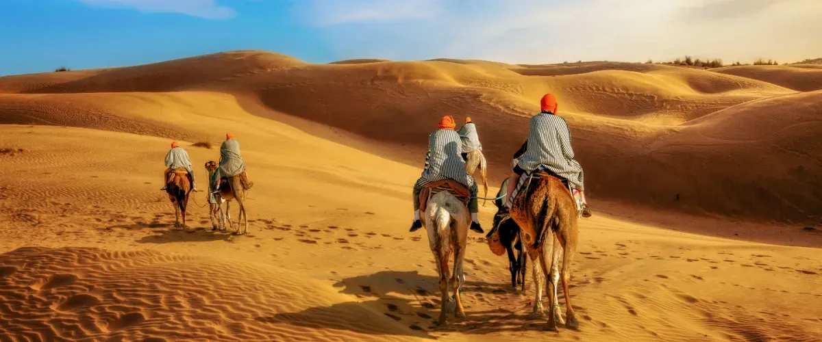 Caravan of camels trekking across golden Thar Desert dunes near Jaisalmer, showcasing Christone Holidays' signature camel safari experience. Local Rajasthani guides lead travelers through undulating sand waves during magical golden hour, with traditional saddles and vibrant turbans adding cultural authenticity. This captivating scene embodies our Rajasthan tour package highlights - from Sam Sand Dunes adventures to immersive desert camping. Perfectly captures the essence of slow travel: rhythmic camel footsteps, sweeping desert vistas, and authentic interactions with desert communities. Book this bucket-list experience with Christone Holidays for sunrise/sunset rides, photography sessions, and genuine connections with Rajasthan's desert heritage.