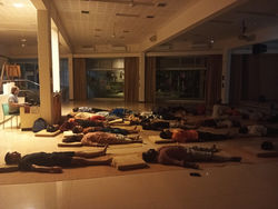 The Yoga of the Cells