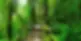 b12.webp