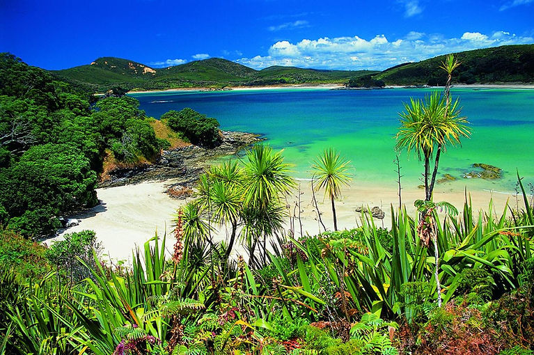 Maitai Bay.jpg