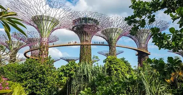 Futuristic Supertree Grove at Gardens by the Bay Singapore with Christone Holidays